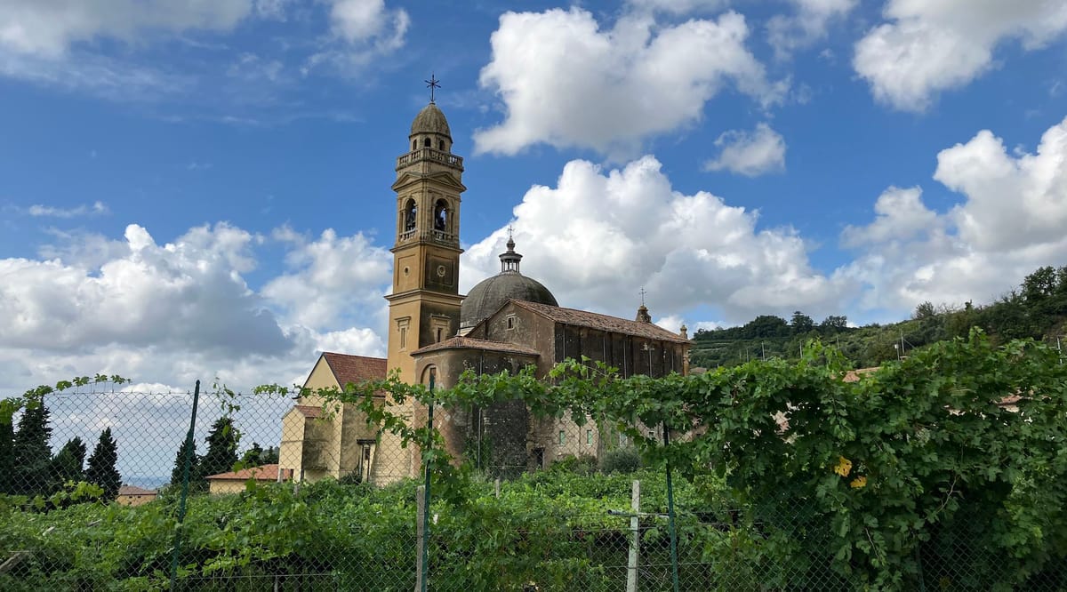 In Valpolicella
